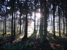Herbstmorgen am Rand der Klapperberge